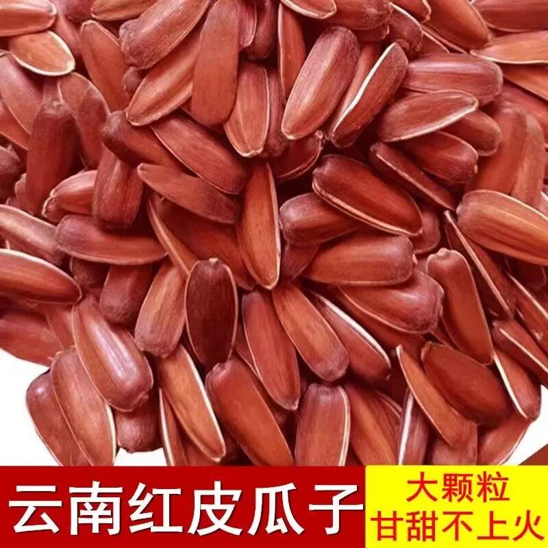 云南生红皮瓜子原味高原葵花籽零食生吃甜糯不上火大颗粒新货种籽