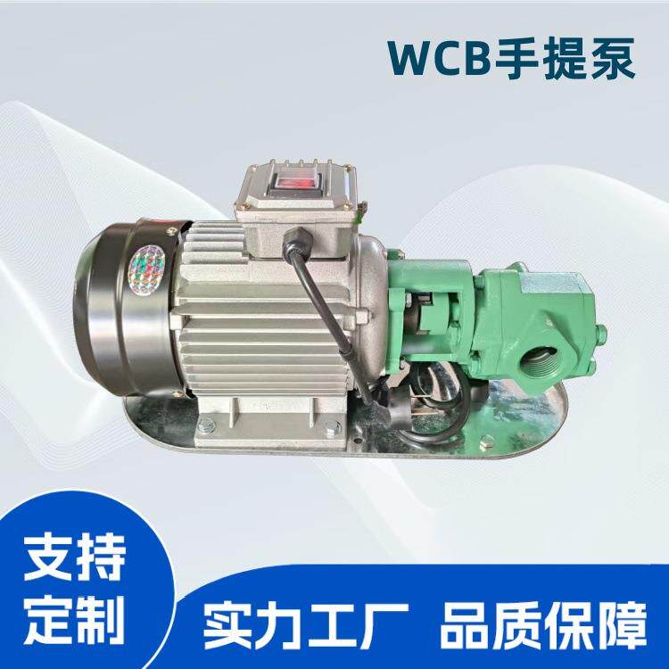 WCB手提齿轮泵小型输油泵便携式泵电动油桶抽油泵铸铁材质