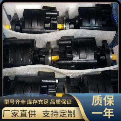 KP30.34系列凯斯帕齿轮泵,国产CASAPPA型液压泵