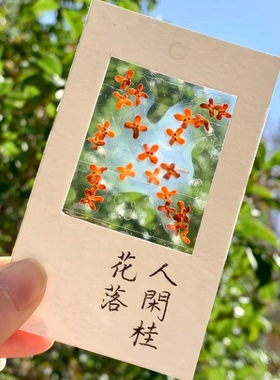 收集秋天桂花书签标本diy干花手工材料包透明植物树叶标本塑封