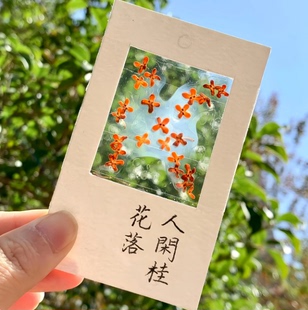收集秋天桂花书签标本diy干花手工材料包透明植物树叶标本塑封