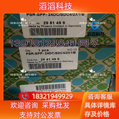 现货2981499  PSR-SPP- 24DC/SDC4/2X