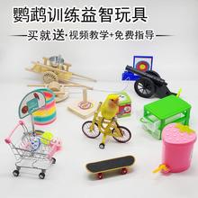 鹦鹉益智玩具训练道具训鸟用品玄凤虎皮牡丹自行车投篮垃圾桶套圈