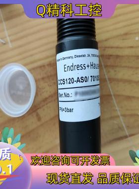 现货E+H 总氯传感器 CCS120-AS0  总氯电极量程0
