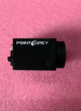 Point grey 灰点 BFLY-PGE-12A2M-C议价