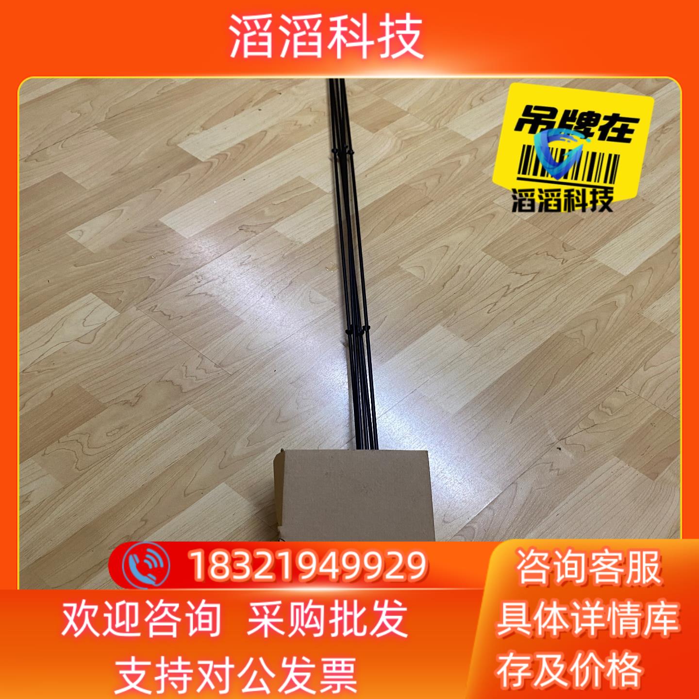 现货FTW31-A2A5AA0A+1 600mm E+H电导式限