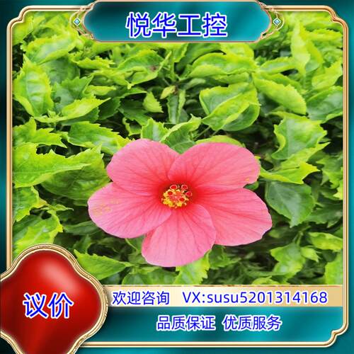 原装1734-OE2C议