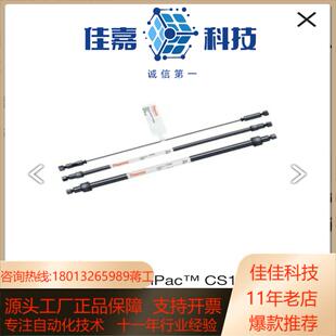 赛默飞阳离子色谱柱CS12ACG12A2mm规格046