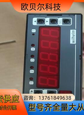 DAT44.1.08  wiIheIm显示仪表器 正