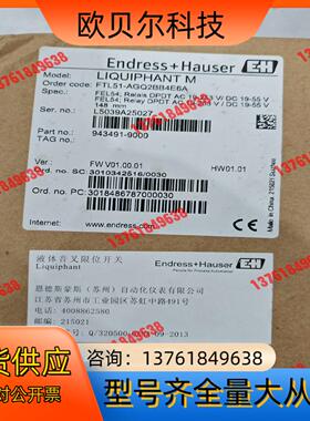 EndressHauser 音叉Order code：FT