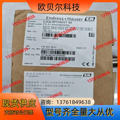 EndressHauser 音叉Order code：FT