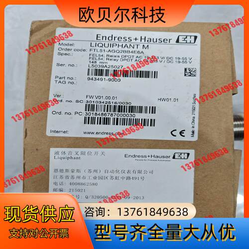 EndressHauser 音叉Order code：FT