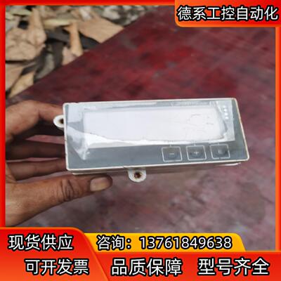 EH 回路供电指示仪RIA45