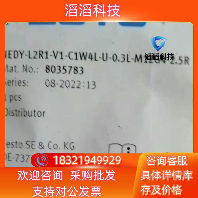 现货费斯托NEDY-L2R1-V1-C1W4L-U-0.3L-M