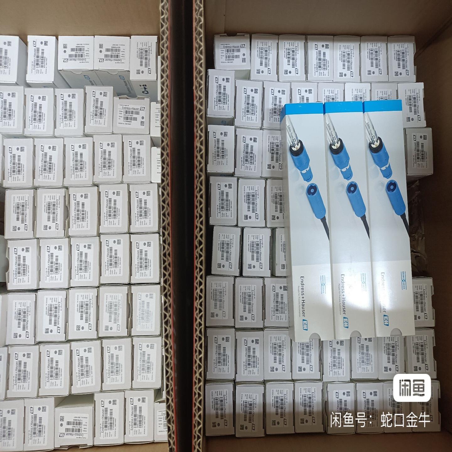 CPS11D-7BT21 EH恩德斯豪斯CPS11D-7B