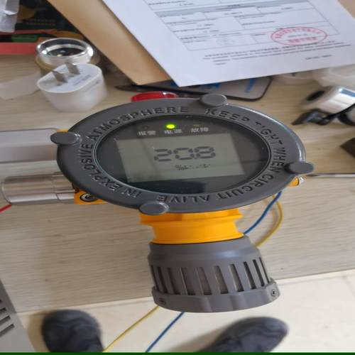 特安ES2000T氧气探测器，带显示屏和声光报警，21.9月议价