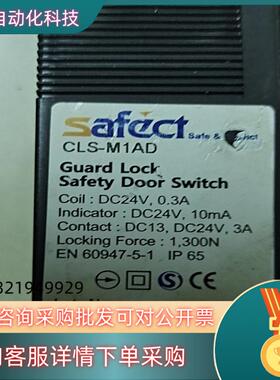 现货安全门锁开关SAFECT