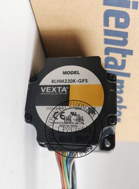 BLHM230K-GFSVEXTA电机BLHM015K-ABLHM450K-50BLHM5100K-GF议价