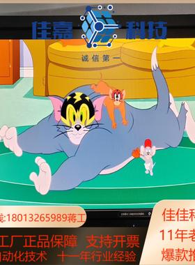 EIZO FlexScan S2433W