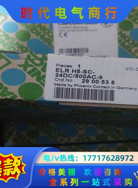 ELR H5-SC- 24DC/500AC-9 混合型电机起
