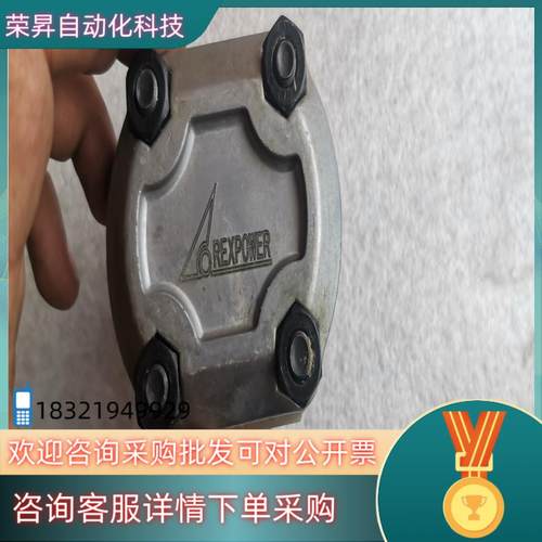 现货REXPOWER锐力液压齿轮泵 RGP-F202R-12