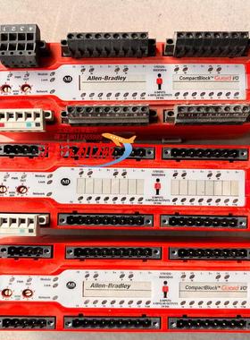 1791DS-IB8XOBV4  AB罗克韦尔PLC模块