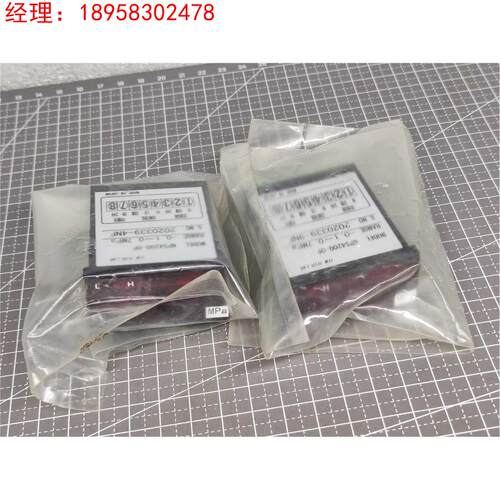 TEM TECH LAB 显示表头 NPS4200-0P RANGE -0.1～0.7MPa 日本正品