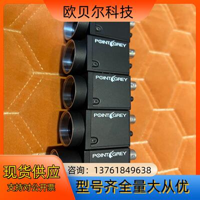 POINT GREY BFLY- PGE-20EM4-CS全