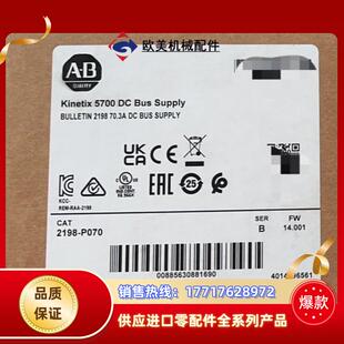 全新封现货 议价 P070 2198