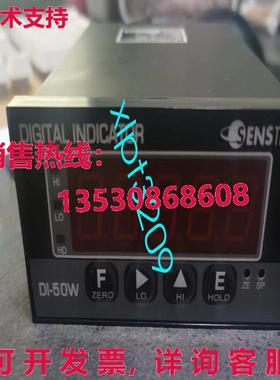 原装供应SENSTECH DI-50W 显示仪器