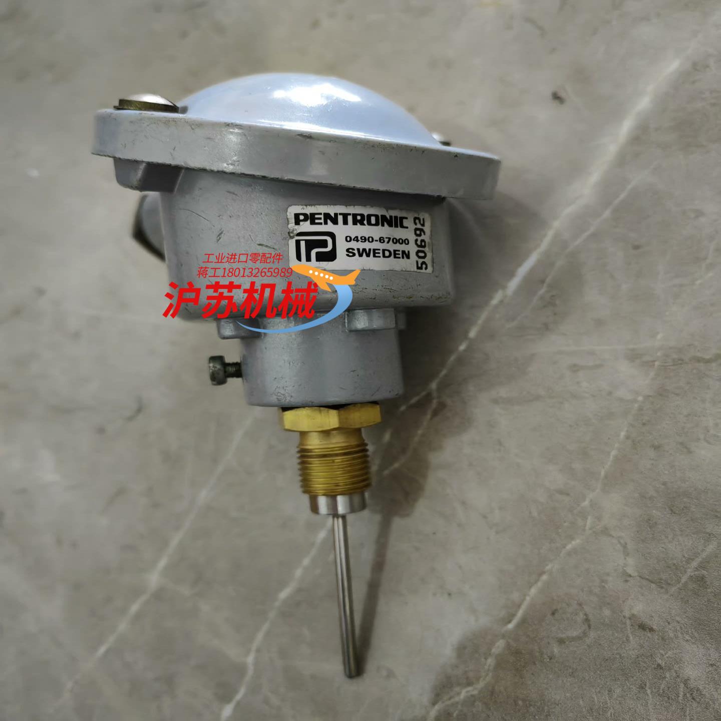 Pentronic  Pt100传感器 0490-67000