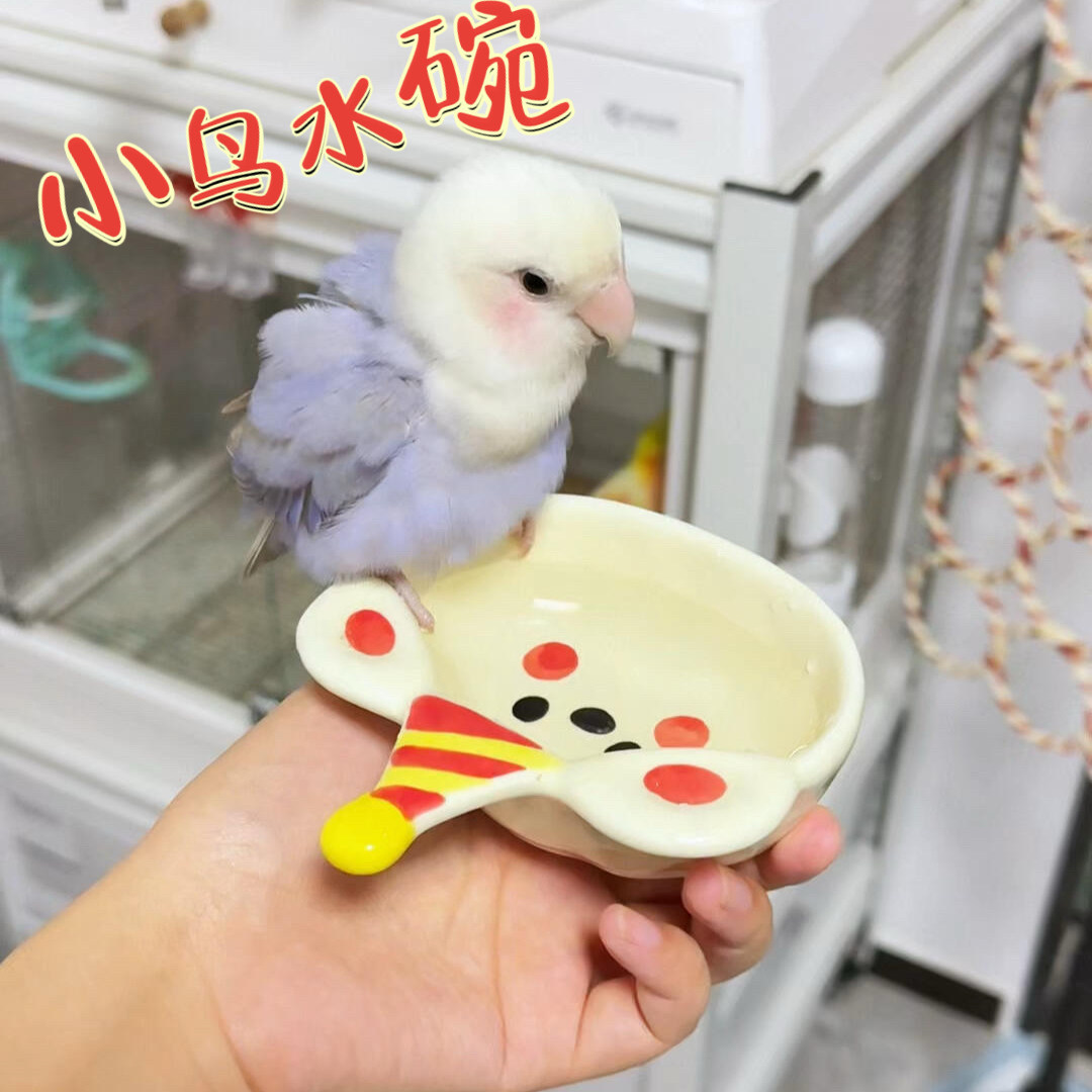 【鹦鹉水碗卡通陶瓷】