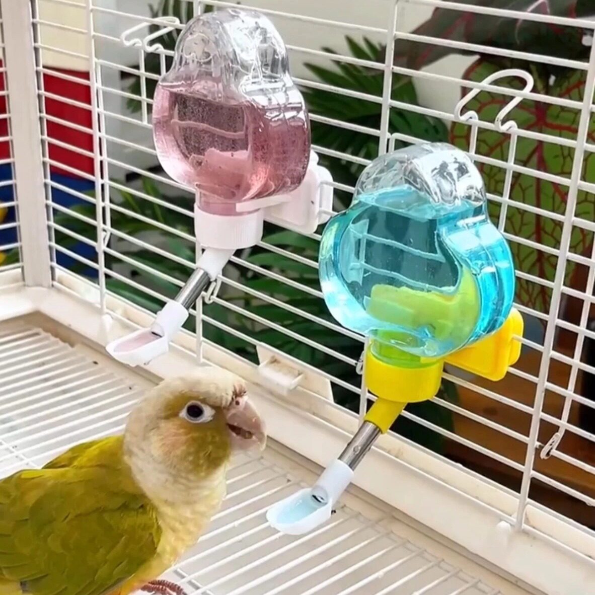 鹦鹉饮水器虹吸式防反流齿轮防滑鸟笼防打翻喂水下料器鸟笼配件