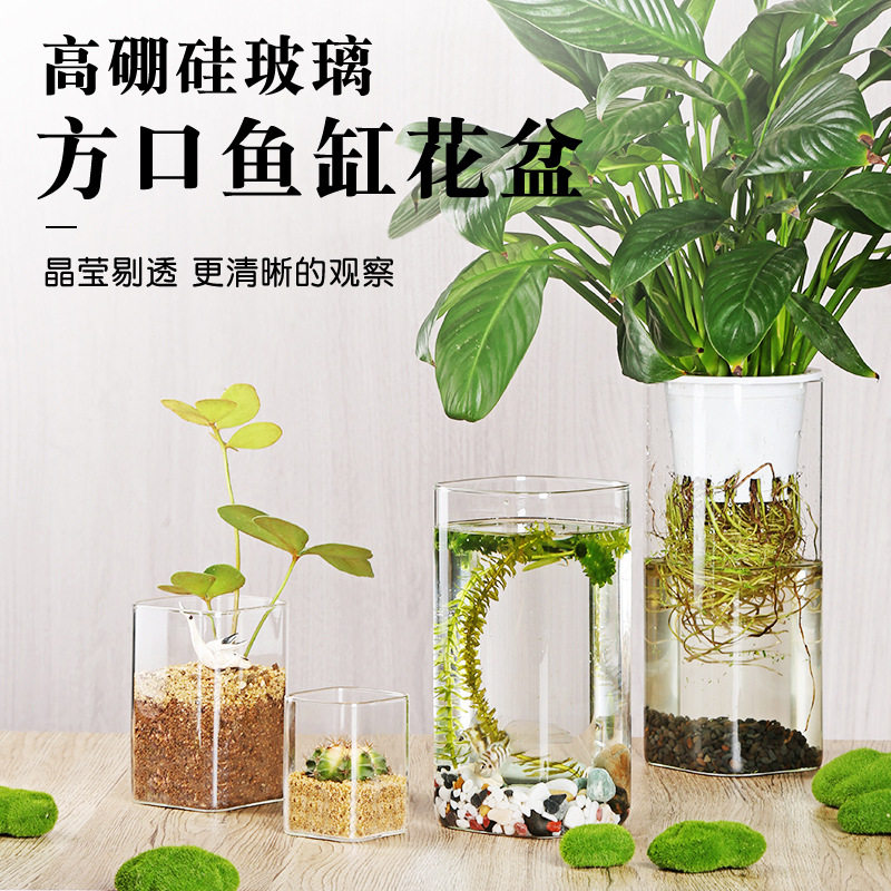 高硼硅方筒玻璃花瓶绿萝小鱼缸插花器水培景观花盆花瓶玻璃摆件