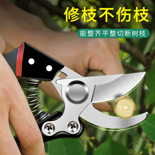 修枝剪刀摘果剪枝花艺剪园艺园林