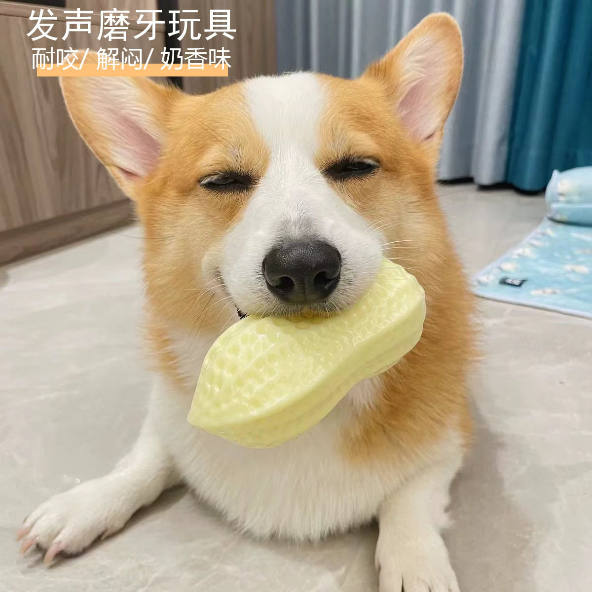 狗狗玩具花生解闷神器耐咬发声狗磨牙小狗小号体力柯基泰迪宠物球