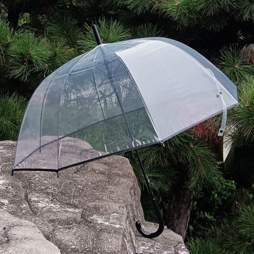 8骨阿波罗透明雨伞加厚长柄泡泡
