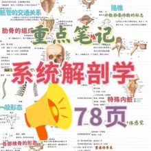 霍坤系统解剖学手写笔记骨骼关节人体解剖上课考试背诵资料2025最新系统解剖学霍琨笔记纠错版人体解剖学系统解剖学笔记本
