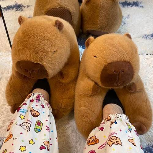 居室内学生宿舍毛绒棉拖鞋全包跟