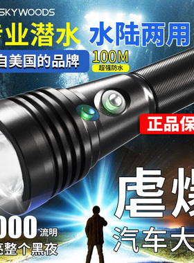 SKYWOODS专业潜水手电筒D6+MAX充电户外6000流明100M防水