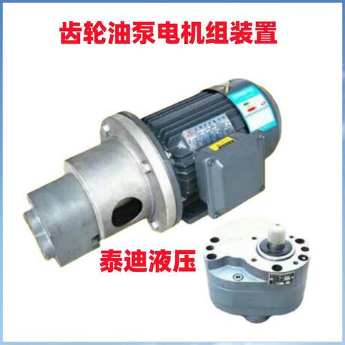 LWBZ-50齿轮泵电机组装置 配电机YS100L1-4-B35 2.2KW