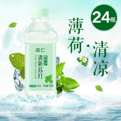 名仁苏打水整箱瓶装薄荷