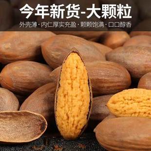 香榧子新货2023诸暨特产香榧连罐500g坚果干果零食大籽易剥年货