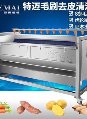工厂销售姜不辣清洗机 全自动鲜姜去皮机 商用火姜毛刷清洗设备