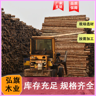 工地河道杉木桩木材原木打桩木河道防洪护岸工程建筑桩杉木桩