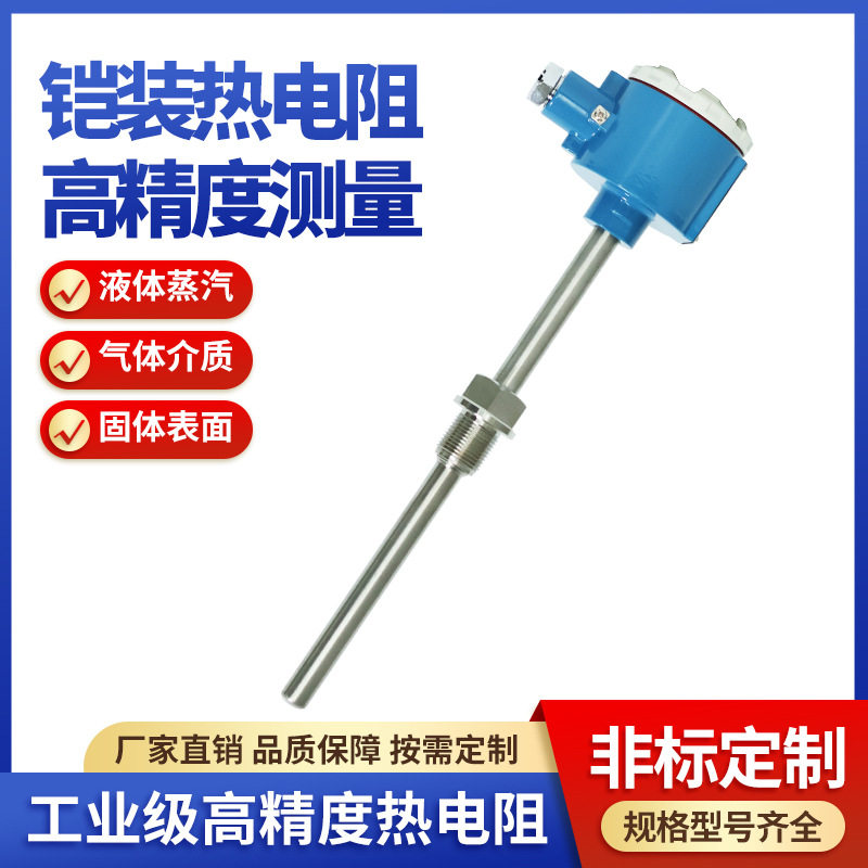 WZP240防爆热电阻PT100一体化温度传感器-50~400度SBWZ上仪仪表