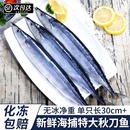 深海秋刀鱼新鲜海捕特大号鲜活冷冻日式 料理烧烤海鲜水产商用顺丰