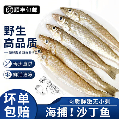 深海捕捞新鲜冷冻无小刺沙丁鱼