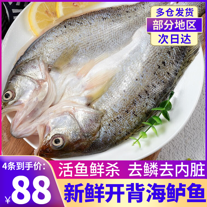 开背海鲈鱼青岛海捕鲈鱼鲜杀开背去鳞去内脏免处理七星深海大鲈鱼,水产肉类/新鲜蔬果/熟食,鲈鱼,淘宝优惠券,粉丝福利购,淘宝优惠卷