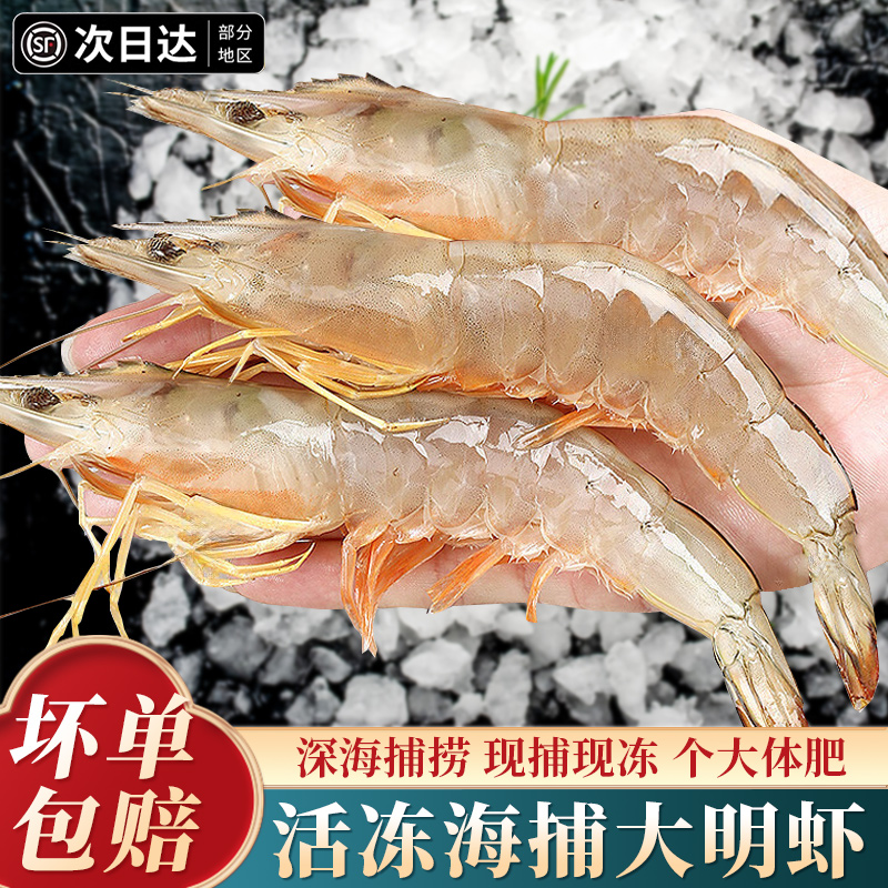 特大白虾活冻虾海捕海虾
